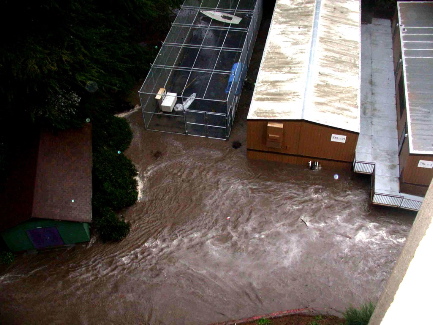 Flash Flood on east side of Thornton Hall